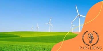 How to incorporate sustainability into your investment approach
