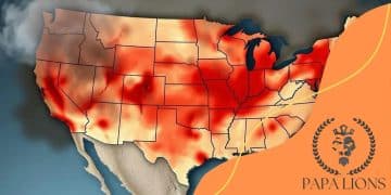 Wildfire smoke map across the U.S.