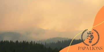 National wildfire smoke health advisories: what you need to know