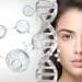 Anti-Aging
